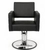 Adjustable Height Hydraulic Barber Salon Chair 360Â° Swivel Styling Beauty Spa Chair with Pump